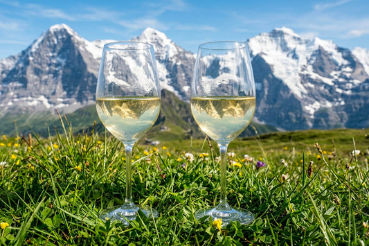 Grüner Veltliner e Kerner: guida ai bianchi alpini