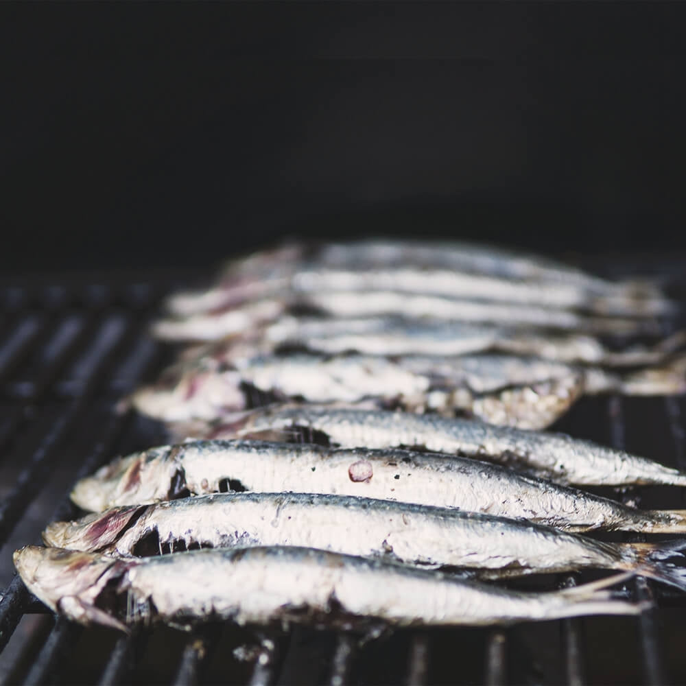 Vini da abbinare alla grigliata di pesce