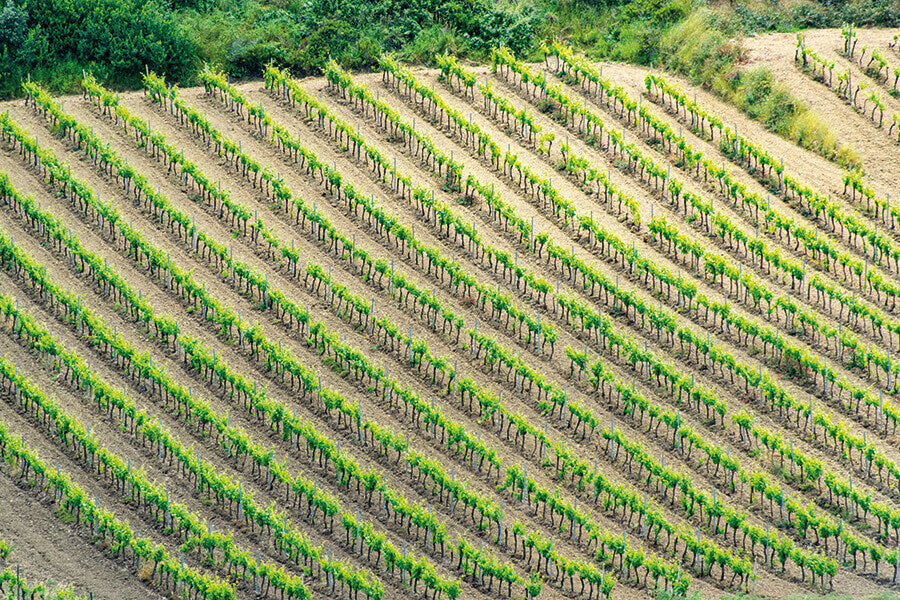 Ciello