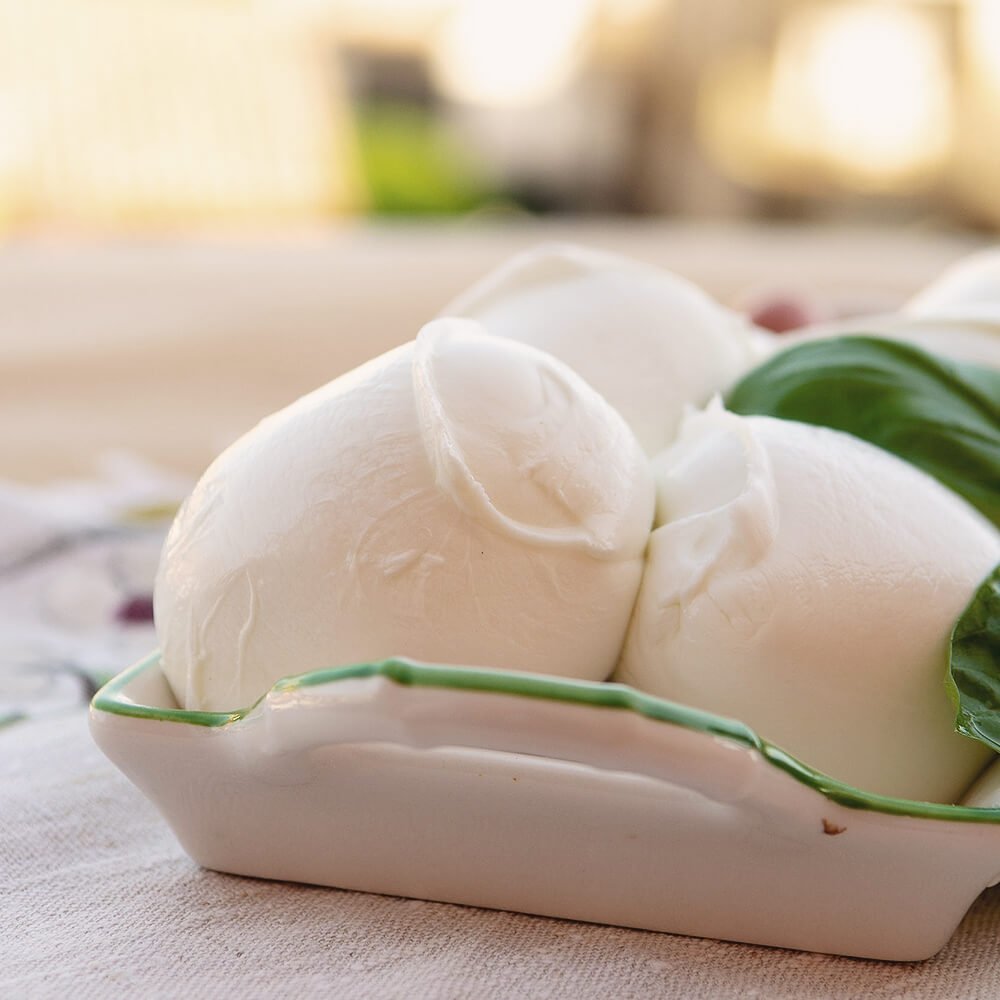 Vini da abbinare alla mozzarella di bufala