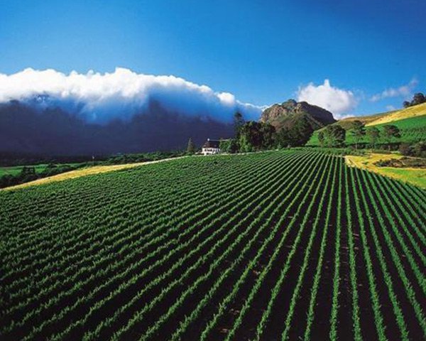 Clos Lentiscus