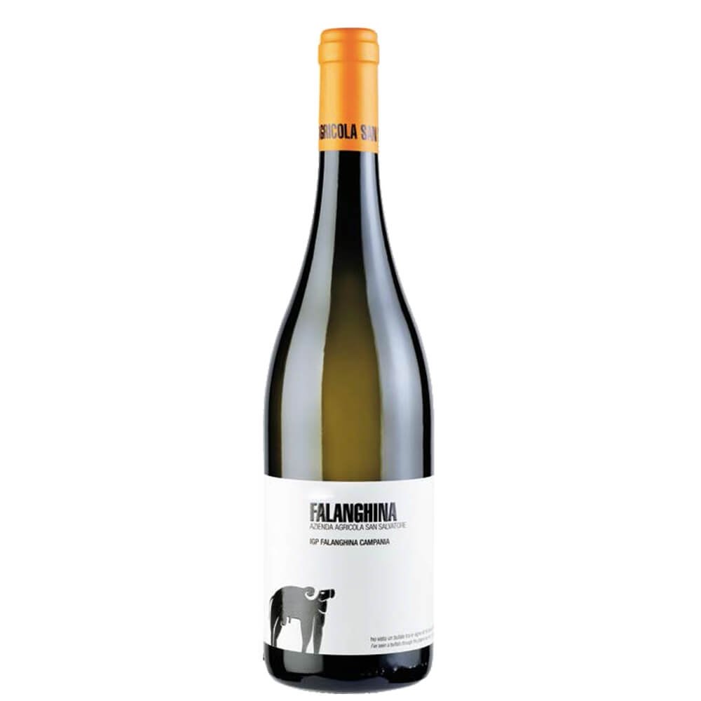 Campania Falanghina IGP 2025 - San Salvatore 1988