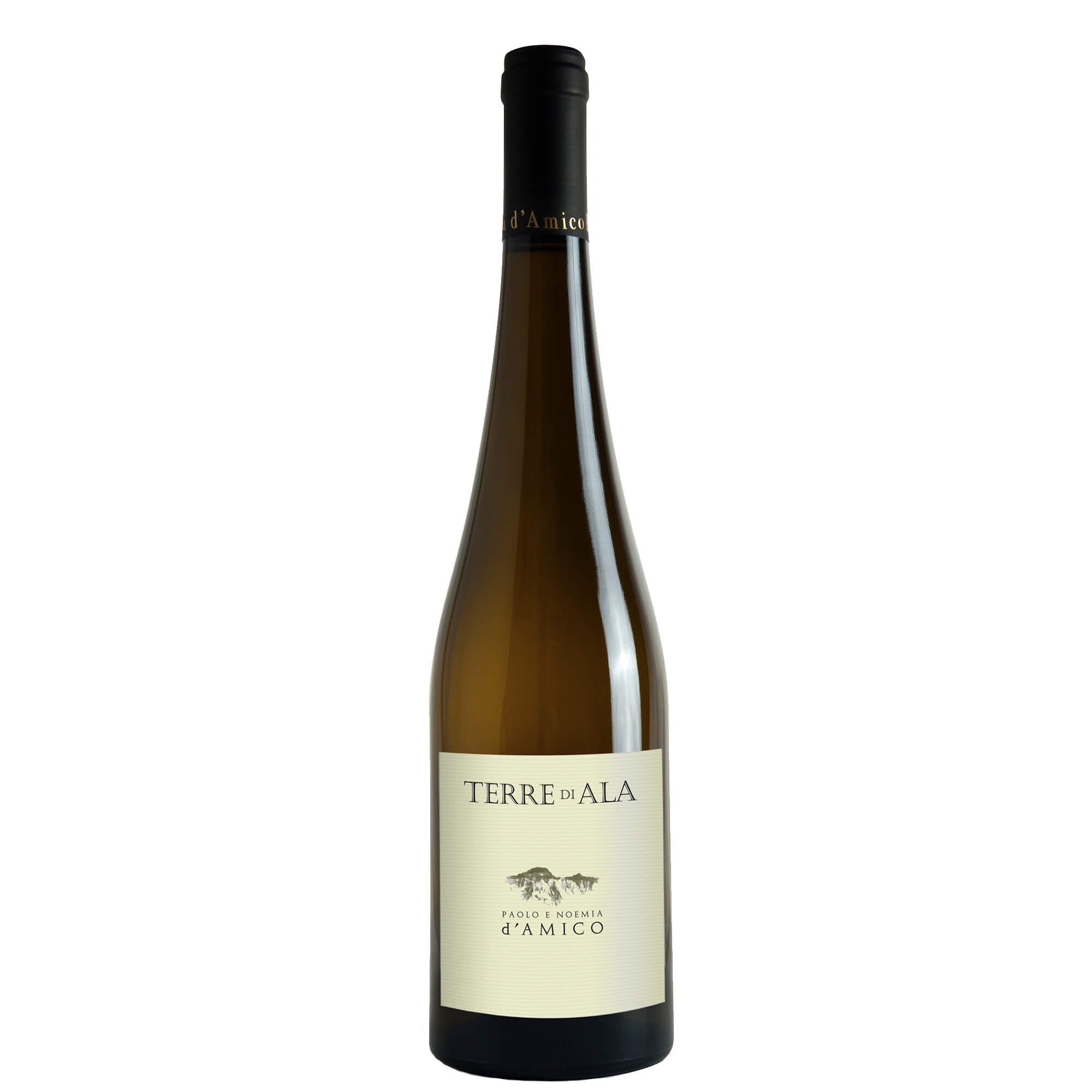 Umbria Bianco IGT "Terre di Ala" 2025 - Paolo e Noemia d'Amico