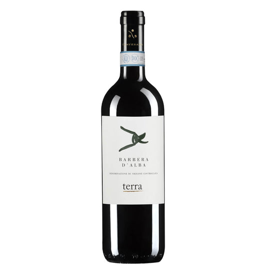 Barbera d’Alba DOC 2022 Magnum - Clavesana
