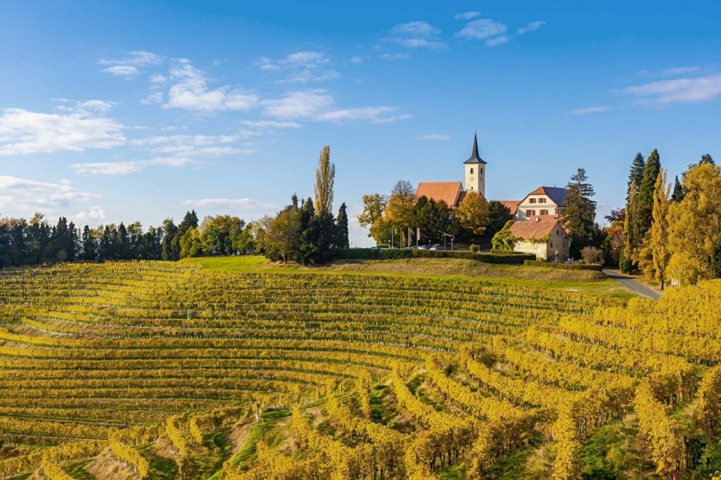 Wines of the North-East