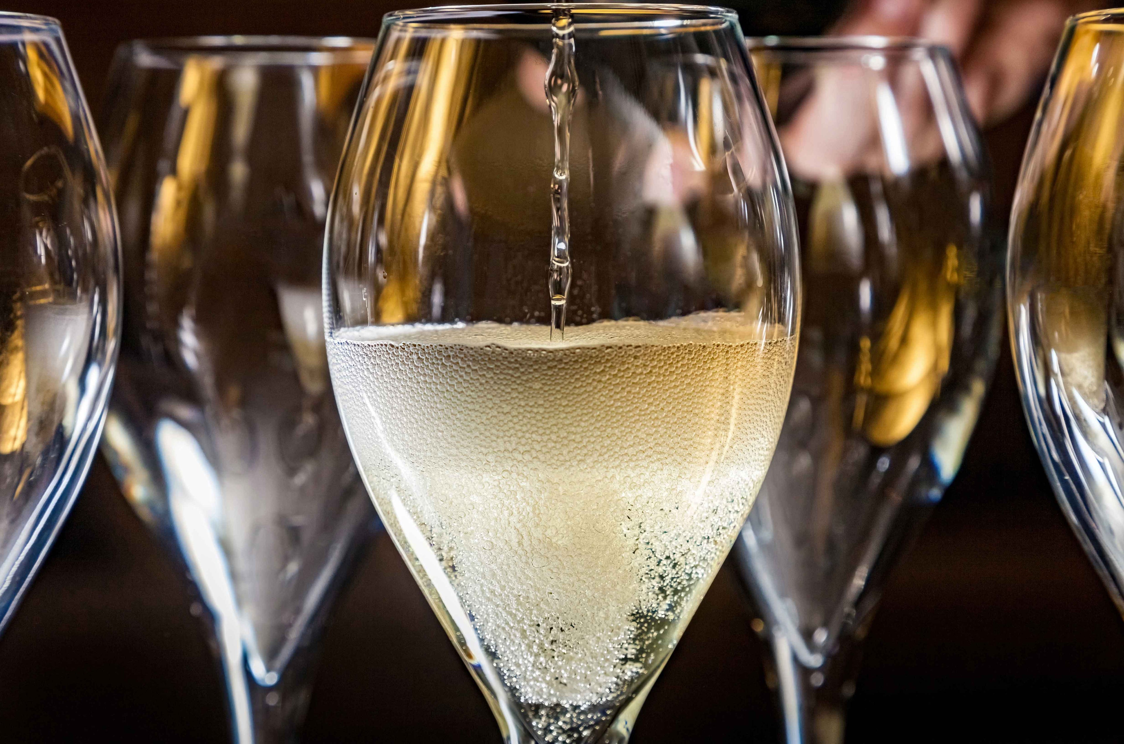 Sparkling Wines of Italy