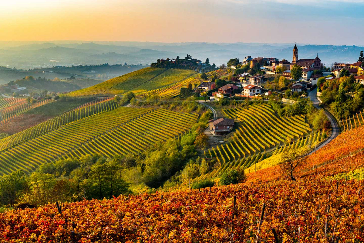 Wines from the Langhe