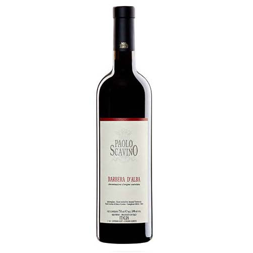 Barbera d'Alba DOC 2024 - Paolo Scavino