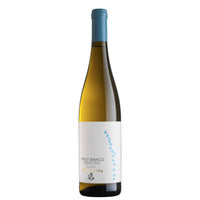 Trentino Pinot Bianco DOC 2023 - Cantina Rotaliana