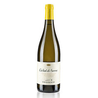 Verdicchio dei Castelli di Jesi Classico Superiore DOC "Casal di Serra" 2024 - Umani Ronchi