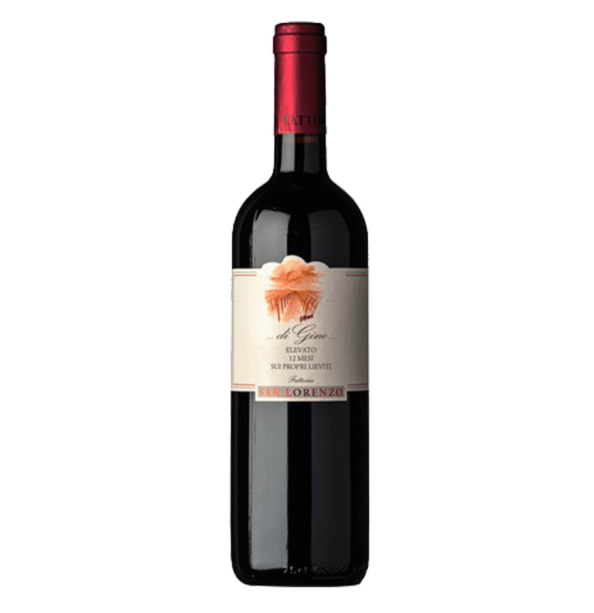 Marche Rosso IGT “di Gino” 2024 - Fattoria San Lorenzo