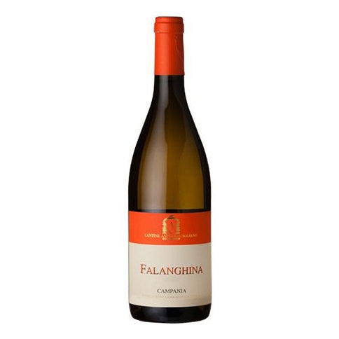 Campania Falanghina IGT 2023 - Antonio Caggiano