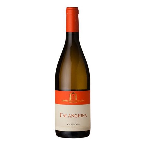 Campania Falanghina IGT 2024 - Antonio Caggiano