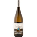 Friuli Pinot Grigio 2025 DOC - Zaglia