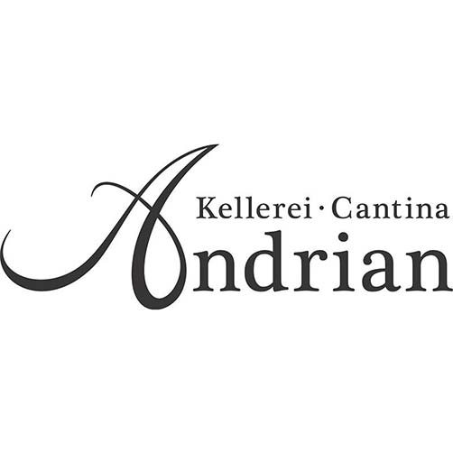 Alto Adige Schiava DOC "Bocado" 2025 - Andriano