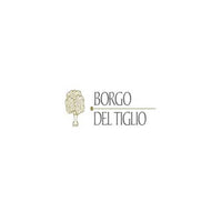Collio Friulano DOC 2022 - Borgo del Tiglio