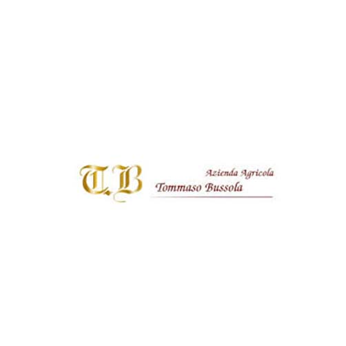 Amarone della Valpolicella Classico DOCG 2019 - Tommaso Bussola