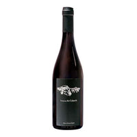 Umbria Pinot Nero IGP "Notturno dei Calanchi" 2024 - Paolo e Noemia d’Amico