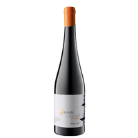 Terre Siciliane IGP "AV01" 2024 - Rallo
