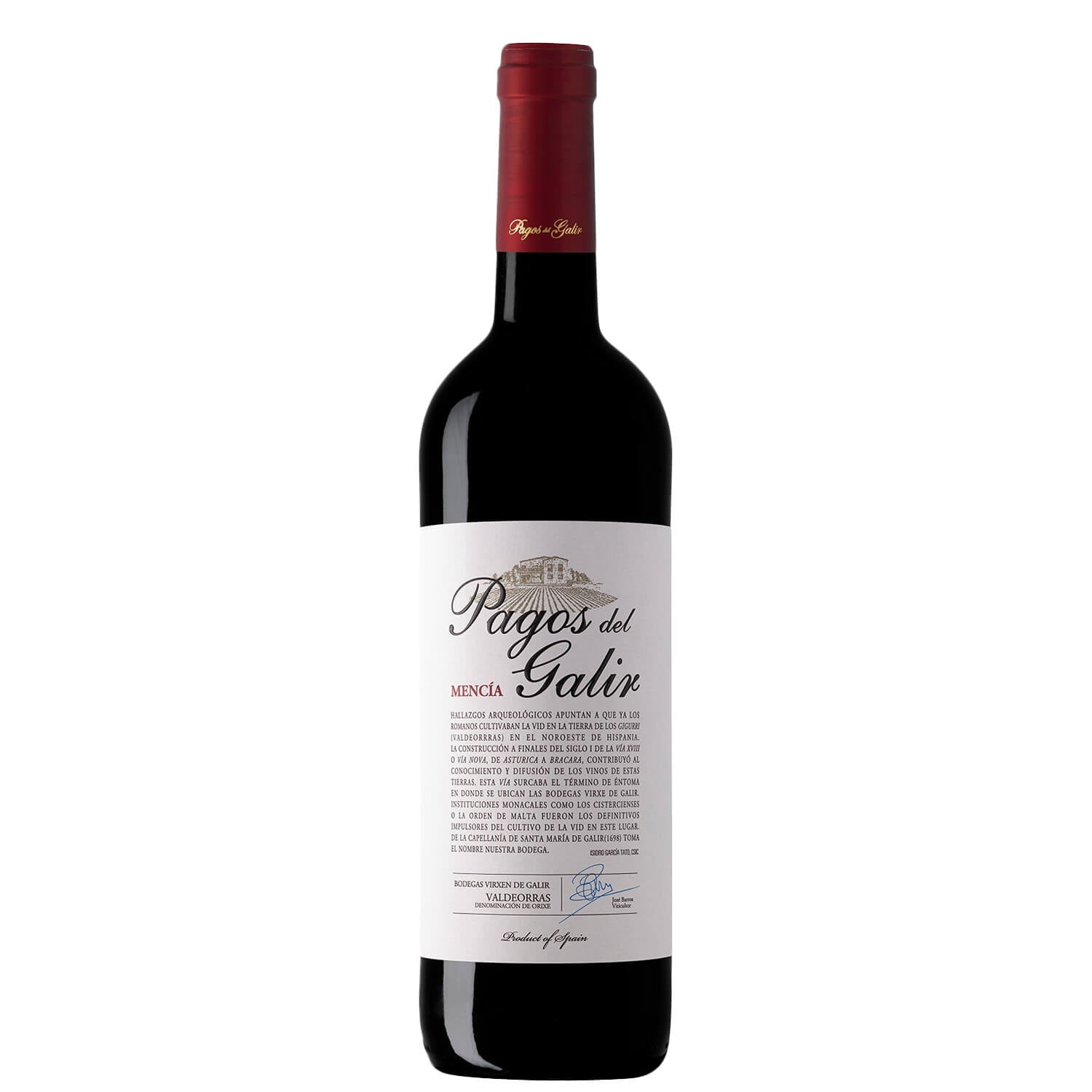 Valdeorras Mencía DO “Val do Galir” 2022 - Virgen del Galir, CVNE