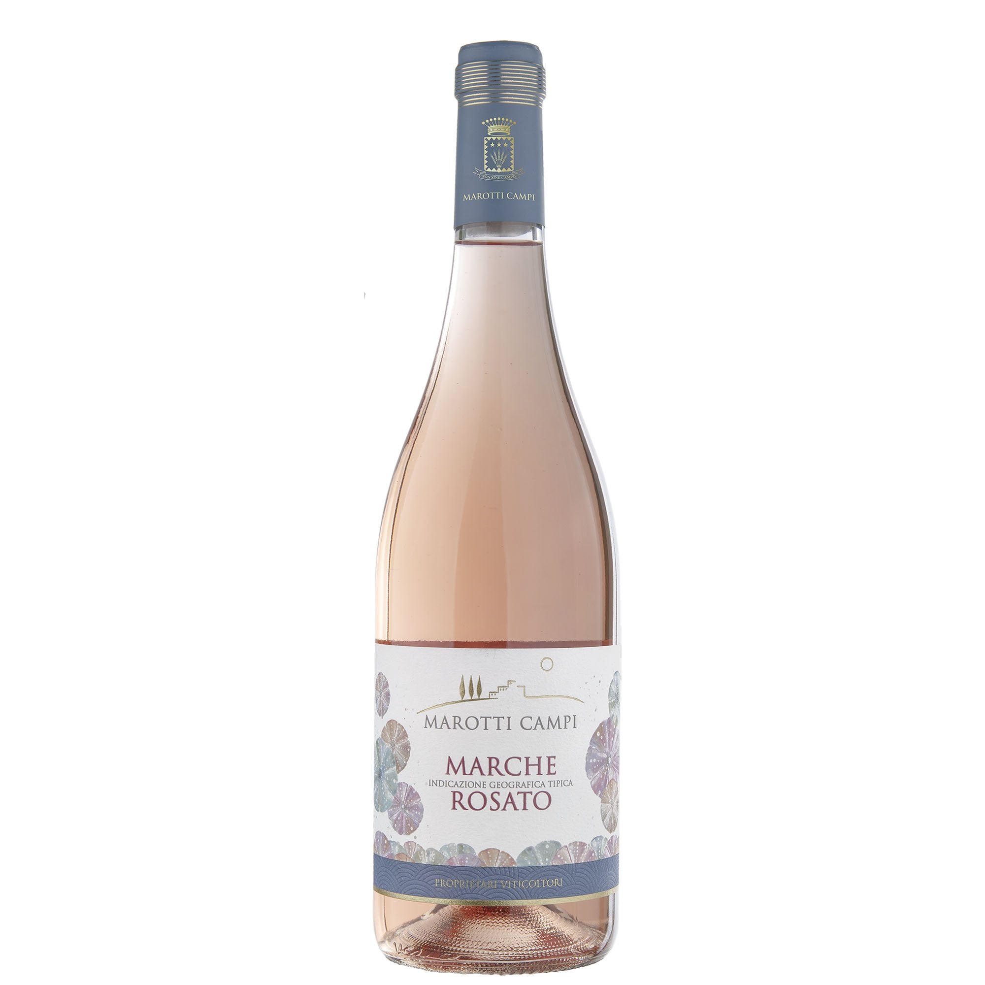Marche Rosato IGT 2025 - Marotti Campi
