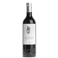 Terre di Chieti Cabernet Sauvignon IGT "Lupaia" 2020 - Castorani
