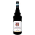 Montepulciano d'Abruzzo DOC “Chronicon” 2023 - Zaccagnini